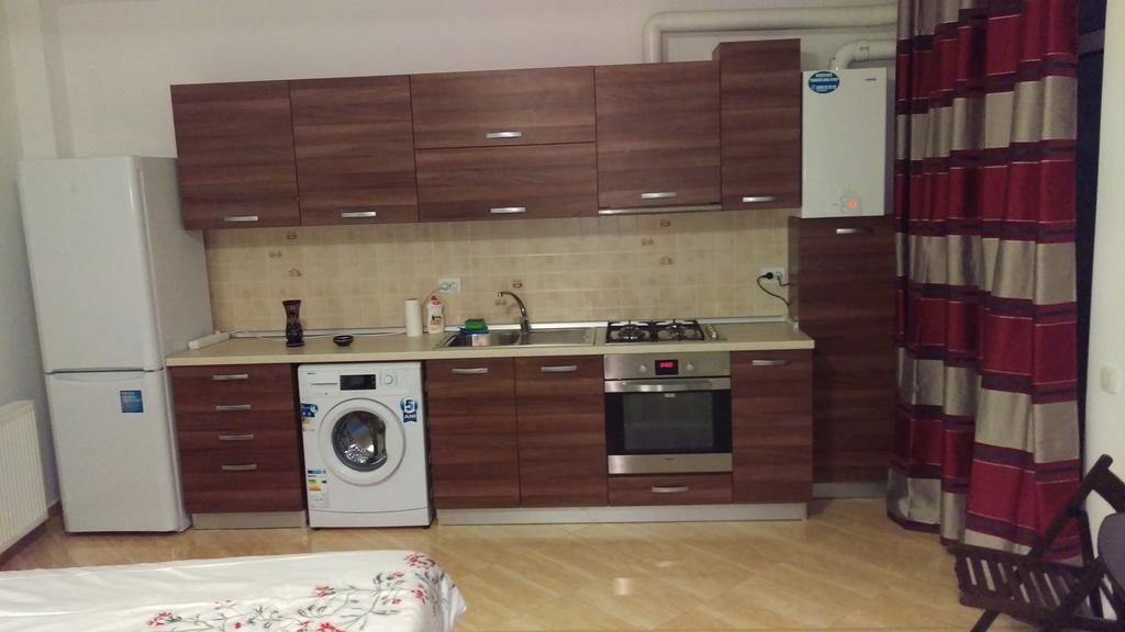 부쿠레슈티 Garsoniere Dinu 아파트 객실 사진